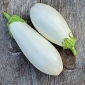 มะเขือยาว "ไข่ขาว" - 125 เมล็ด - Solanum melongena