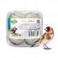 Zimska krma za ptice - komplet majhnih krmnih kroglic za joške - Planta - 4 kosi - 