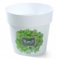 Pot rond imprimé - 14 cm - motif à base de plantes H3 - 