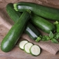 Zucchini "Nefrit F1" - 21 semințe - Cucurbita pepo 
