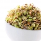Sprouting seeds - "Fitness" mix