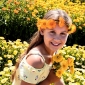 Happy Garden - "Whirling Marigold" - Benih yang bisa tumbuh anak-anak! - 216 biji - Calendula officinalis