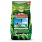 Golf turf grass - resistant to heavy use and close mowing - Planta - 5 kg