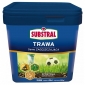 SELF-THICKENING grass - sports grounds - Substral - 5 kg