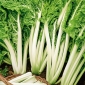 Chard "Lucullus" - 225 seeds