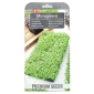 Microgreens-生长容器-幼叶具有独特的味道 - 
