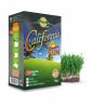 California Sun nurmikon siementen valinta aurinkoisille ja kuiville alueille - Planta - 1 kg - 