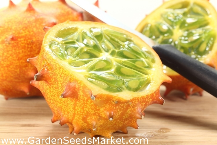 Sweet & Delicious COMB S/H SEE OUR STORE Kiwano Horned Melon Seeds