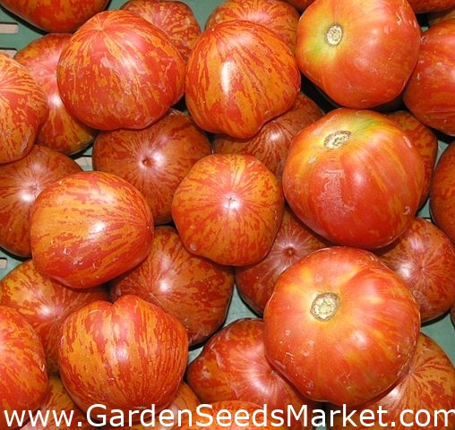 Tomate - Tigerella - 80 sementes - Lycopersicon esculentum Mill – Garden  Seeds Market | Frete grátis