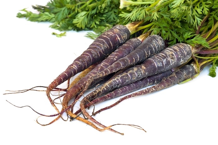 بذور الجزر الأرجواني العميق Daucus Carota Var Sativus 425 بذور Daucus Carota Ssp Sativus ابذرة Garden Seeds Market الشحن مجانا