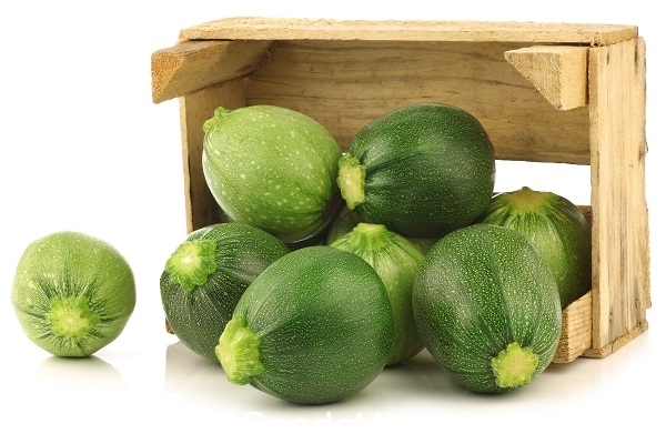 10 Graines à Semer - Le Grenier D'Abondance - COURGETTE Ronde De Nice - Curcubita Pepo