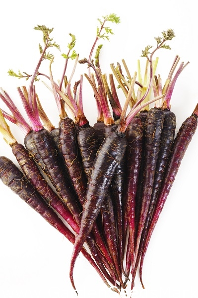 بذور الجزر الأرجواني العميق Daucus Carota Var Sativus 425 بذور Daucus Carota Ssp Sativus ابذرة Garden Seeds Market الشحن مجانا