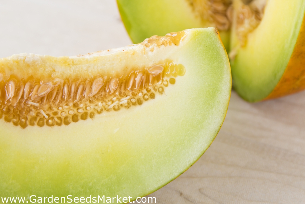 カンタロープメロン オリウィン Cucumis Melo L シーズ Garden Seeds Market 送料無料