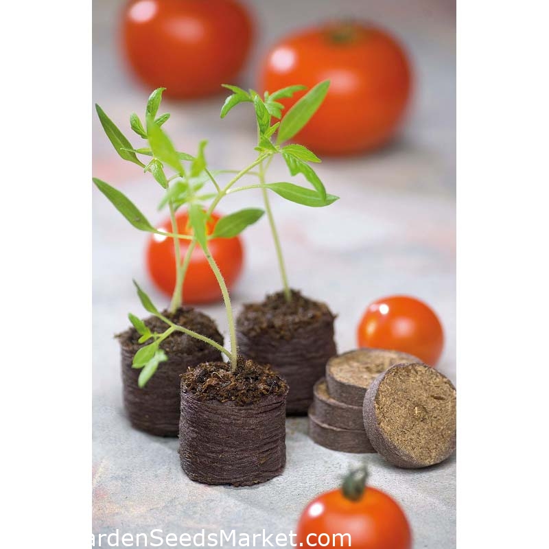 Roztažitelné rašelinové pelety 18 mm - 200 kusů - – Garden Seeds Market |  Doprava zdarma