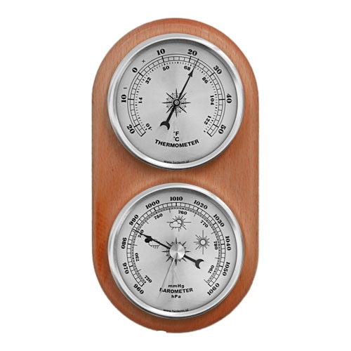 20 cm Außenthermometer im Metallgehäuse - – Garden Seeds Market