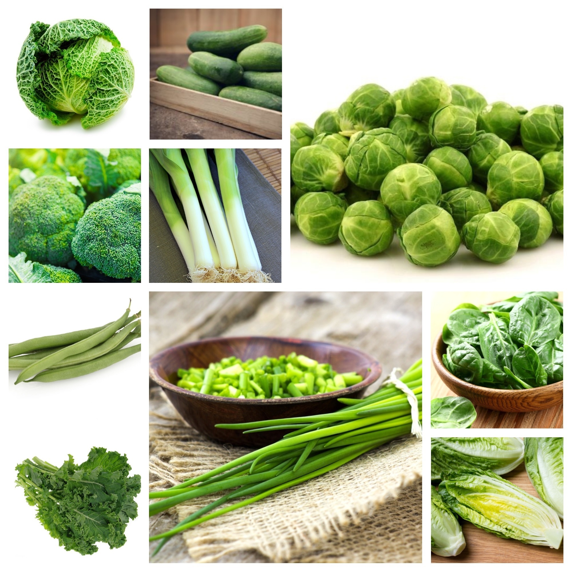 Verduras verdes - Semillas de 10 especies vegetales - – Garden Seeds Market  | Envío gratis