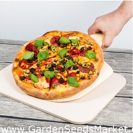 Pietra da forno rettangolare per pizza in ceramica con una buccia per pizza  in legno - 38 x 30,5 cm - – Garden Seeds Market
