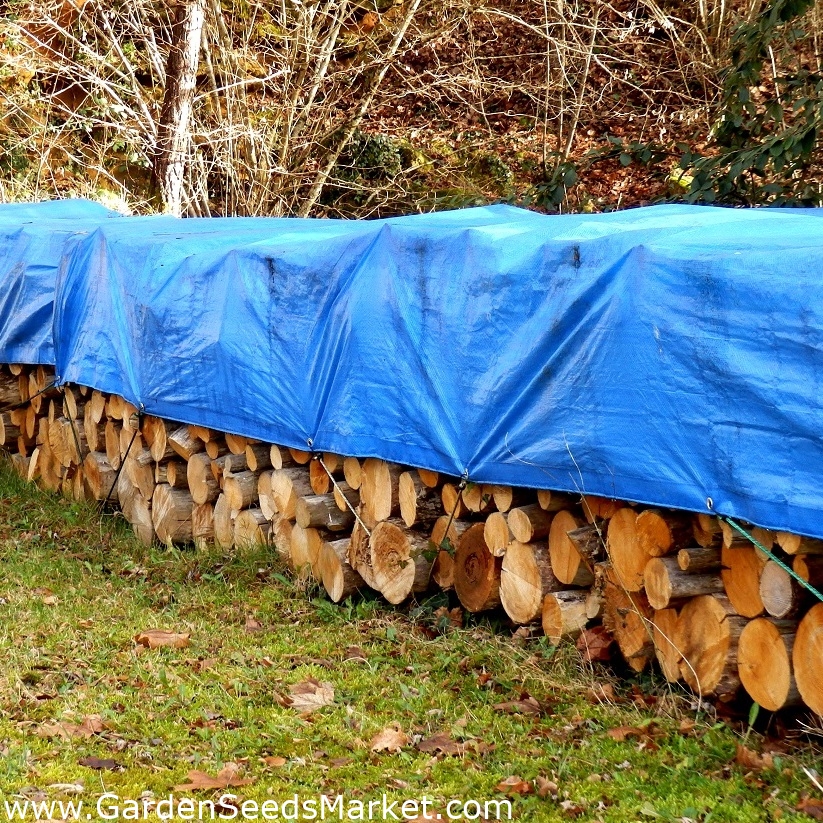 Bâche - 4 x 8 m - bleu - – Garden Seeds Market | Livraison gratuite