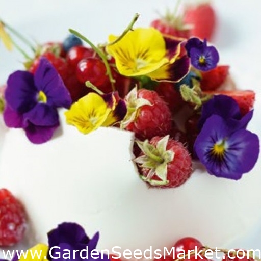 زهور صالحة للأكل - وطي حديقة كبيرة - مزيج ألوان متنوعة - ابذرة – Garden  Seeds Market | الشحن مجانا
