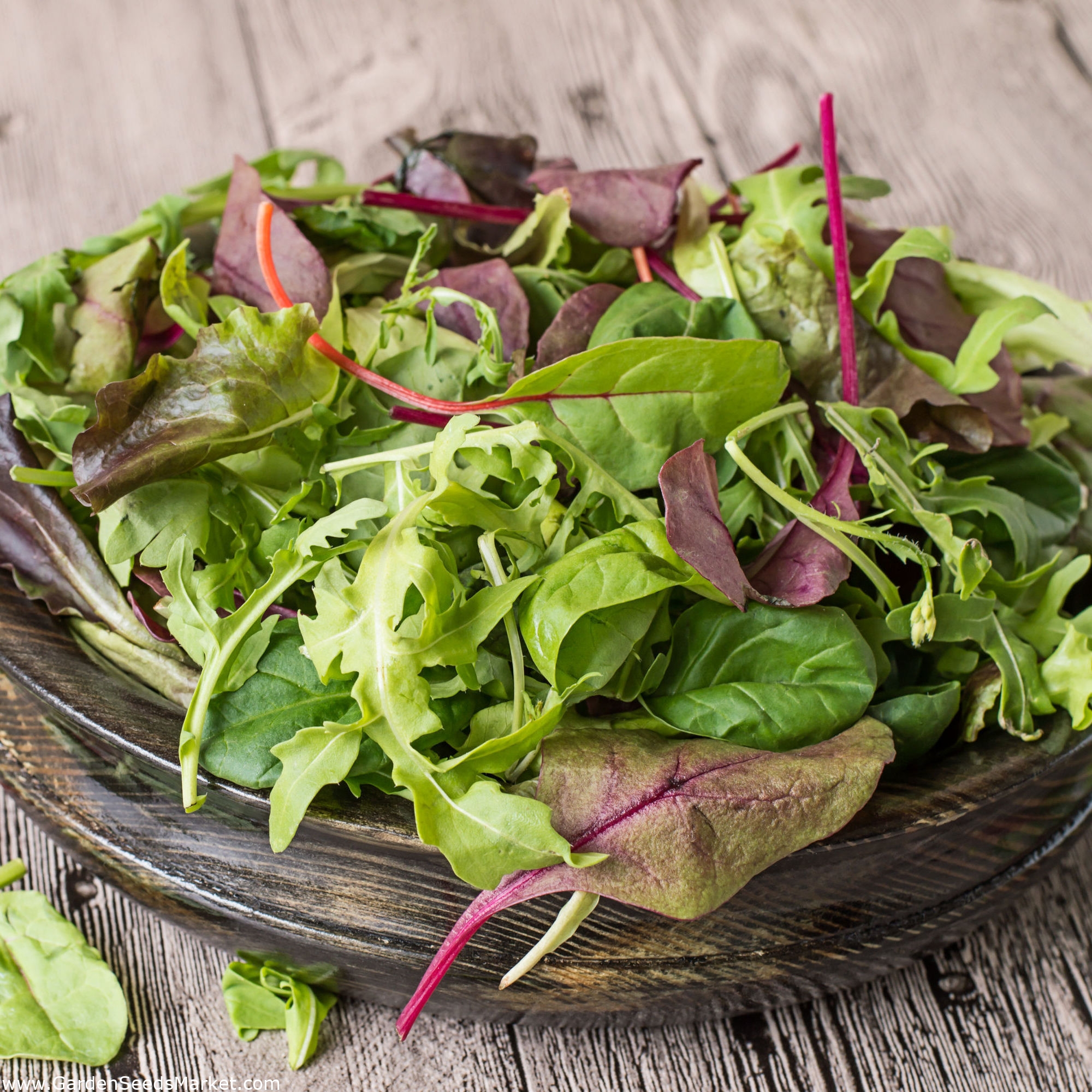 Baby blad - salat mix - - frø – Garden Seeds Market | Gratis fragt