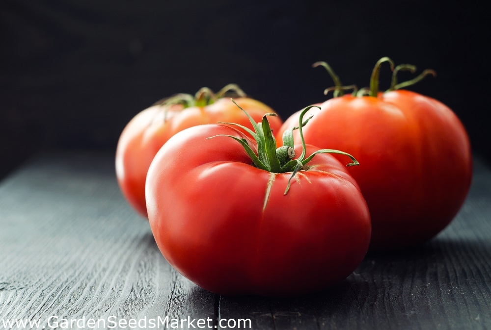 Tomate - Raspberry Ozarowski - semillas tratadas - Lycopersicum ...