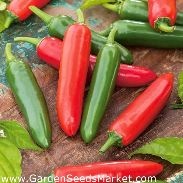 Tšilli pipar "Serrano" - kuum sort - – Garden Seeds Market | Tasuta saatmine