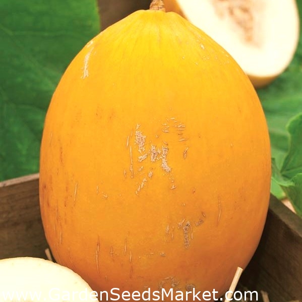 Melon jaune canari - 3 kg environ