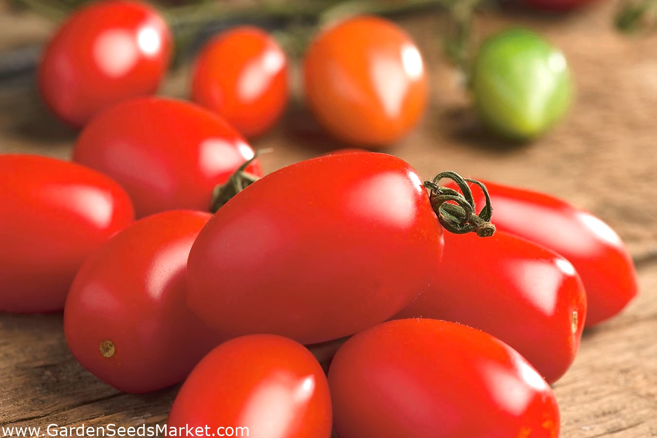 Tomate 'Szejk (Šejk) - Scheich' - Freilandtomate, die zylindrische mit dem  festen Fruchtfleisch – Garden Seeds Market | Kostenloser Versand