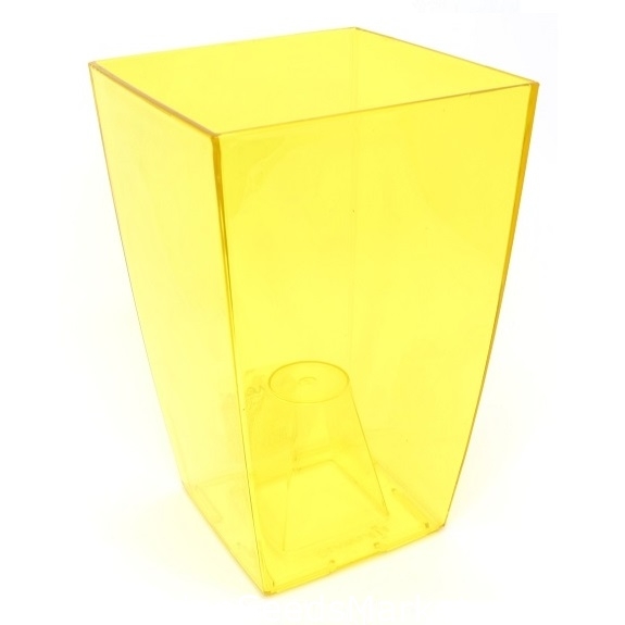 Kanttainen kukkaruukku - Finezja - 12,5 cm - läpinäkyvä keltainen - –  Garden Seeds Market | Ilmainen toimitus