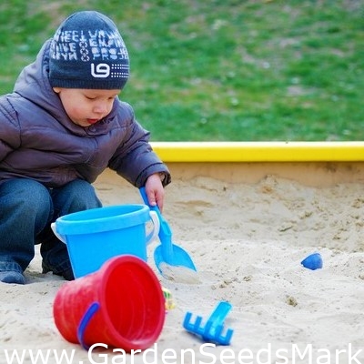 Hiekkalaatikon hiekka - erittäin hieno - 20 kg - – Garden Seeds Market |  Ilmainen toimitus