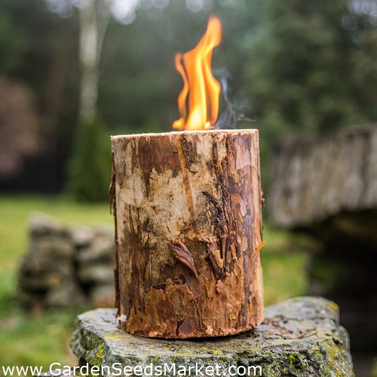 Candela da giardino in un ceppo di legno: una romantica torcia per il tuo  giardino! -