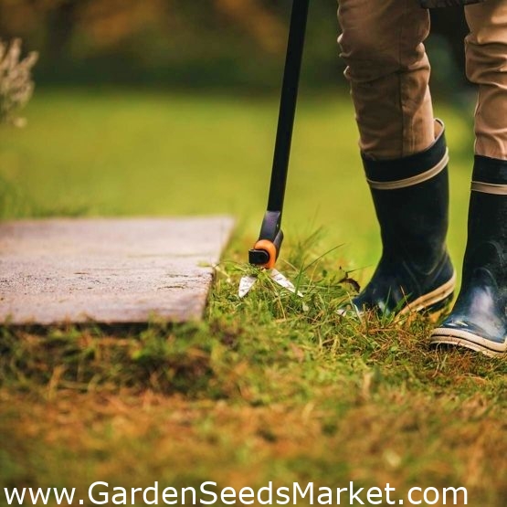 Pitkävartiset kääntyvät ruohosakset - GS46 Servo-System - FISKARS - –  Garden Seeds Market | Ilmainen toimitus
