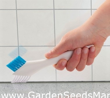 Spazzola per pulizia fessure - CLEAN KIT - – Garden Seeds Market