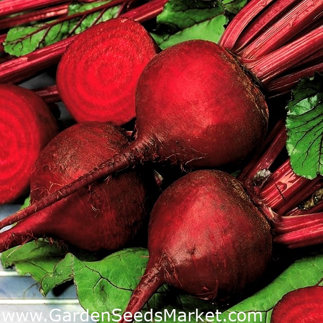 Rødbeter Ceryl - – Garden Seeds Market | Gratis frakt