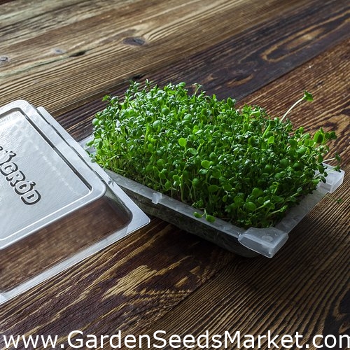 Germinación de semillas con un germinador grande - Cebada - – Garden Seeds  Market