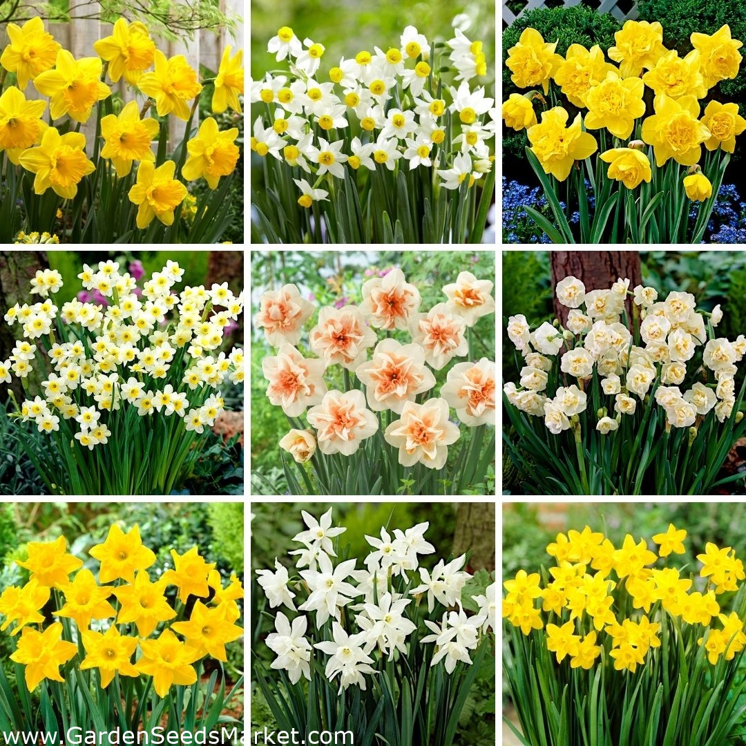 12 Stks/partij Tussen De Bloemen Serie Sticker Diy