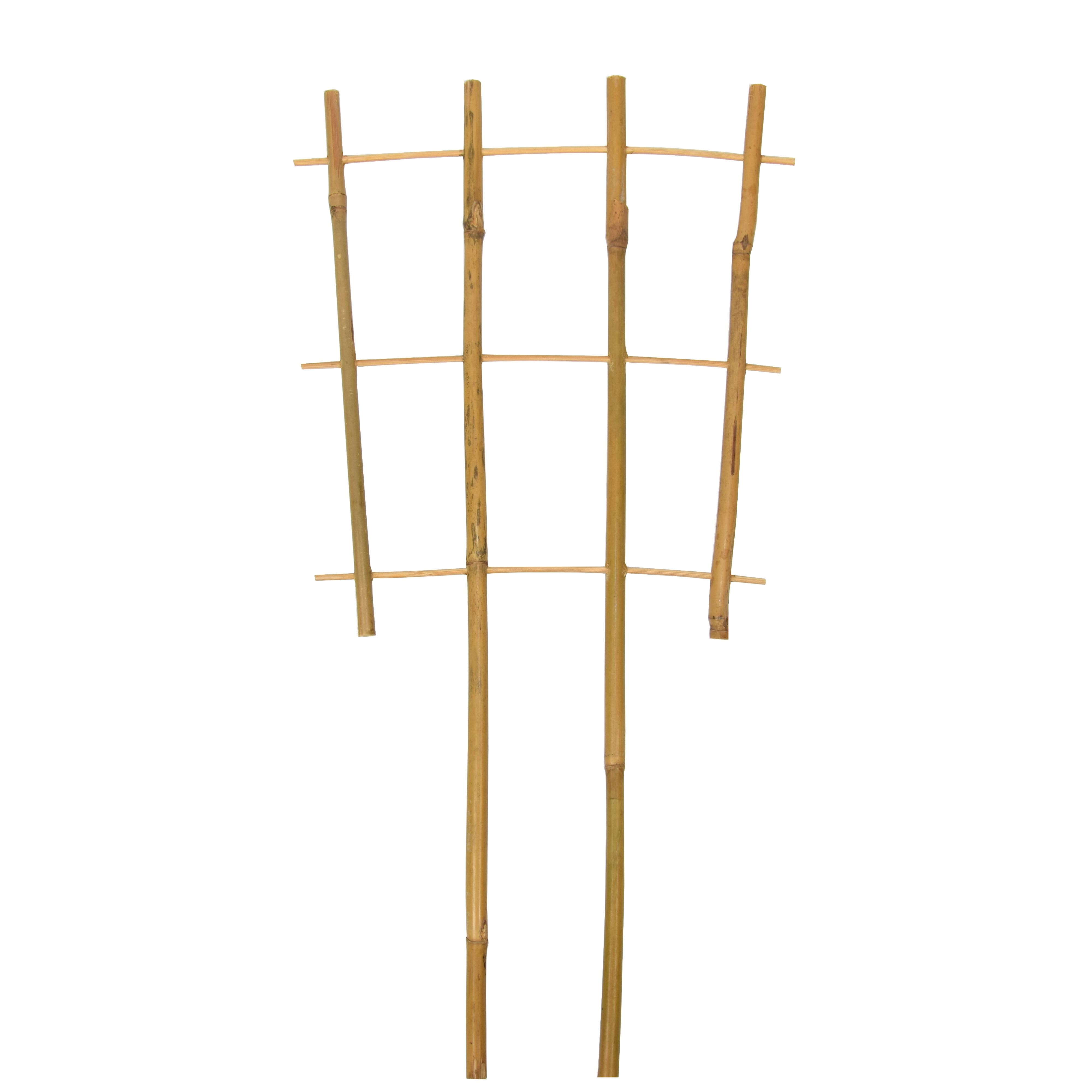 Rebrík na podporu rastlín z bambusu S4 - 45 cm - – Garden Seeds Market |  Doprava zdarma