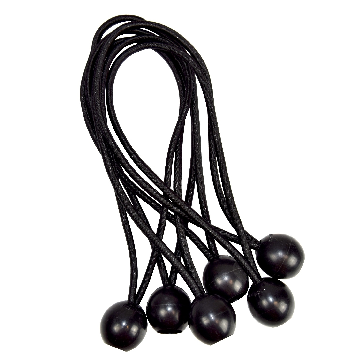 Cinghie elastiche con palla - cinturini di fissaggio in tela cerata - 6  pezzi - – Garden Seeds Market