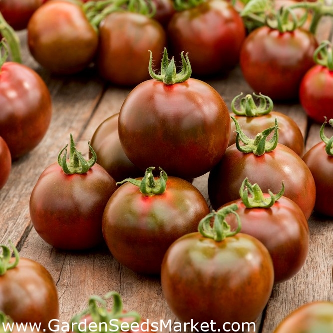 Blackball-välja tomat - – Garden Seeds Market | Tasuta saatmine