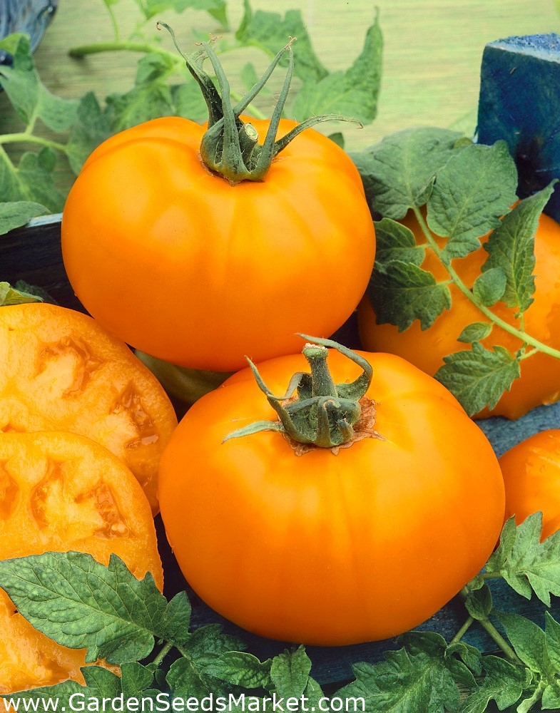 Томат бочонок f1. Томат orange heirloom. Томат дамские пальчики оранжевые. Семко луштица томат. Семена оранжевых томатов.