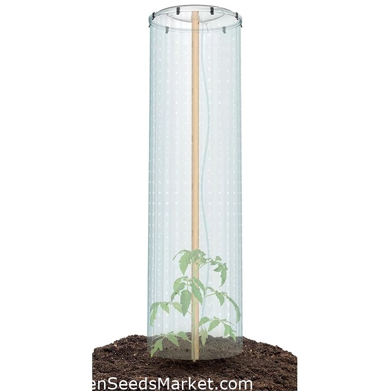 Housse parapluie tomate / chapeau plant de tomate - Ø 40 cm - – Garden  Seeds Market | Livraison gratuite