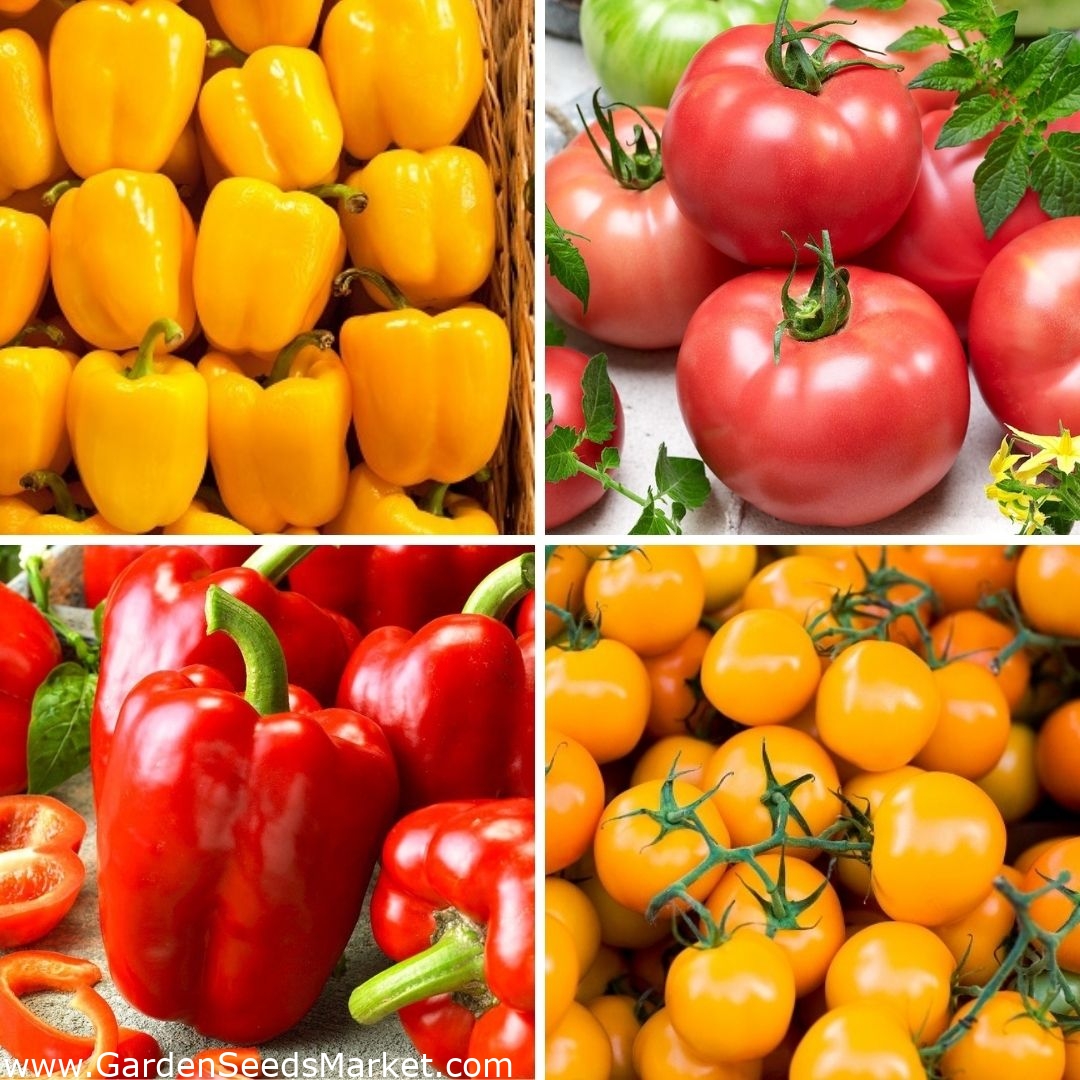 Paradajka a paprika - semená štyroch odrôd - – Garden Seeds Market |  Doprava zdarma