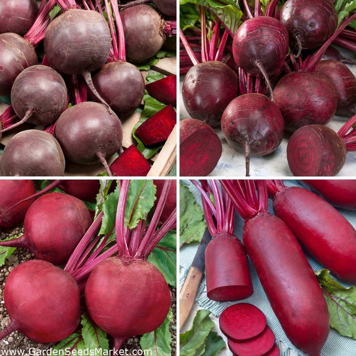 Semi di barbabietola rossa - selezione di 4 varietà - – Garden Seeds Market