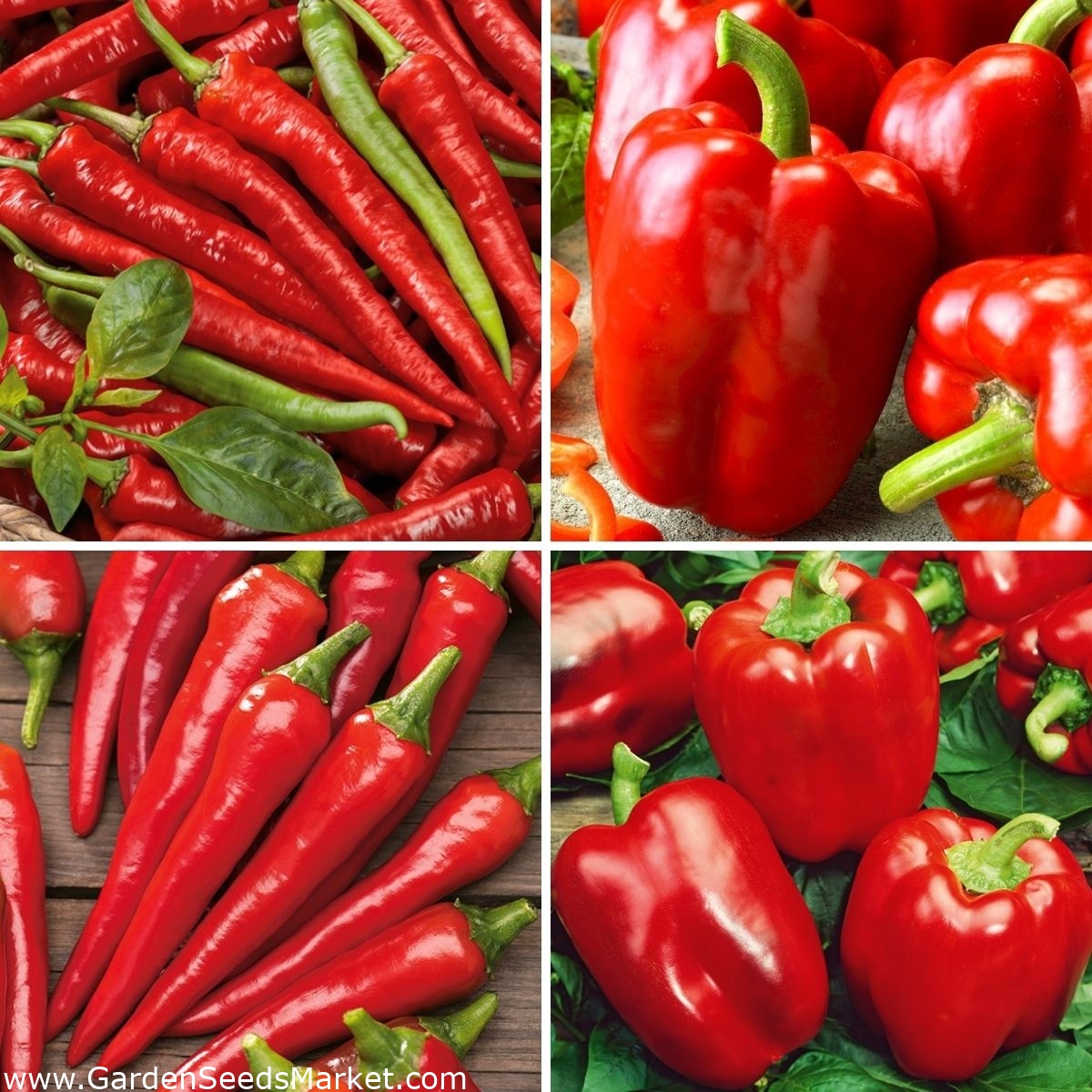 Pepper (capsicum) seeds selection of 4 varieties Garden Seeds
