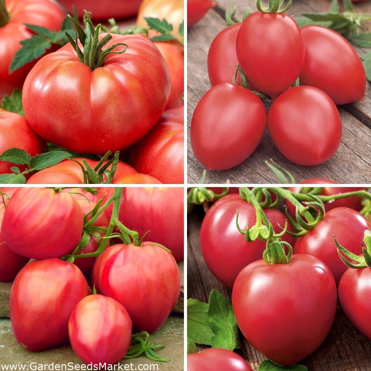 Semená malinových paradajok - výber zo 4 odrôd - – Garden Seeds Market |  Doprava zdarma