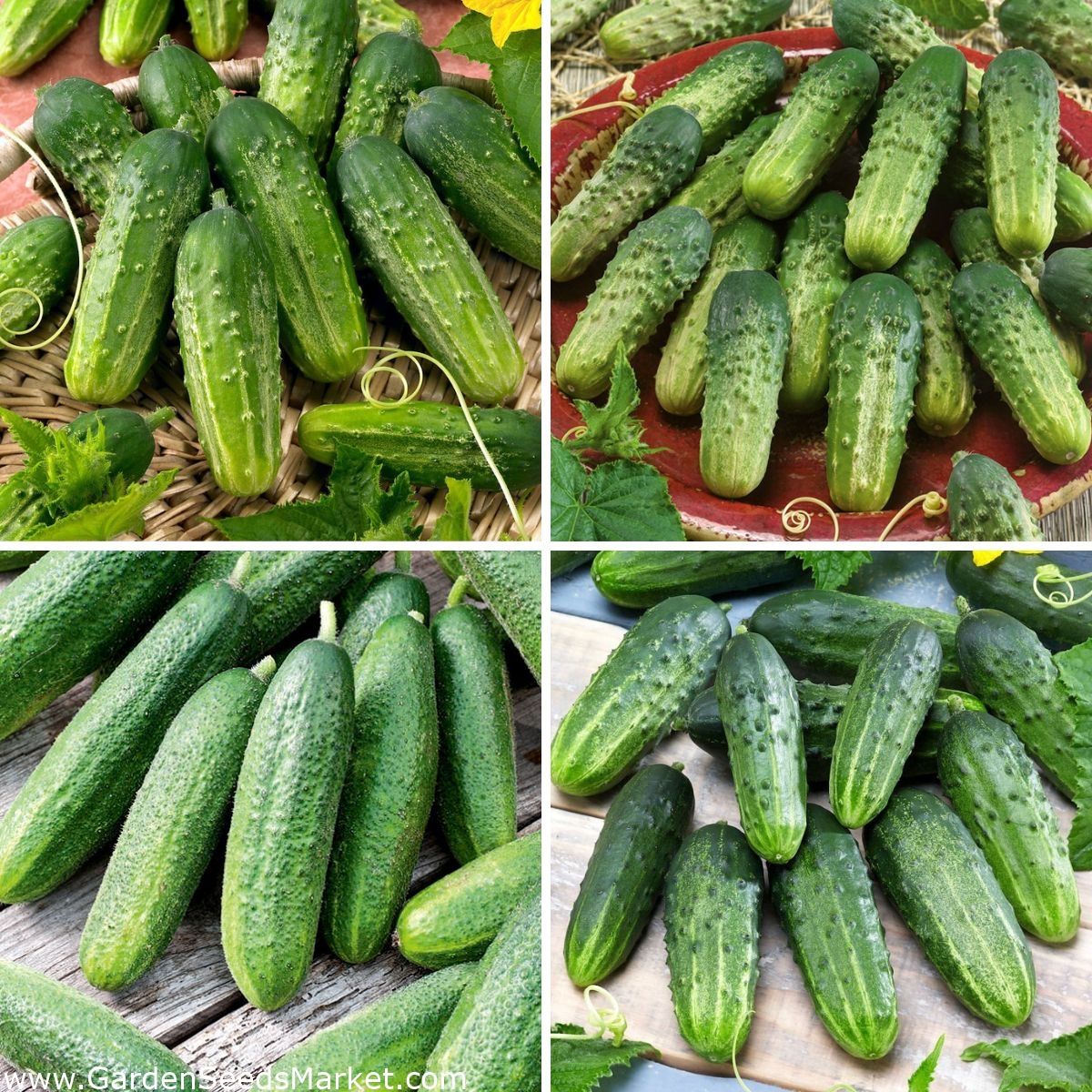 Cueilleur De Cornichons - Livraison Gratuite Pour Les Nouveaux