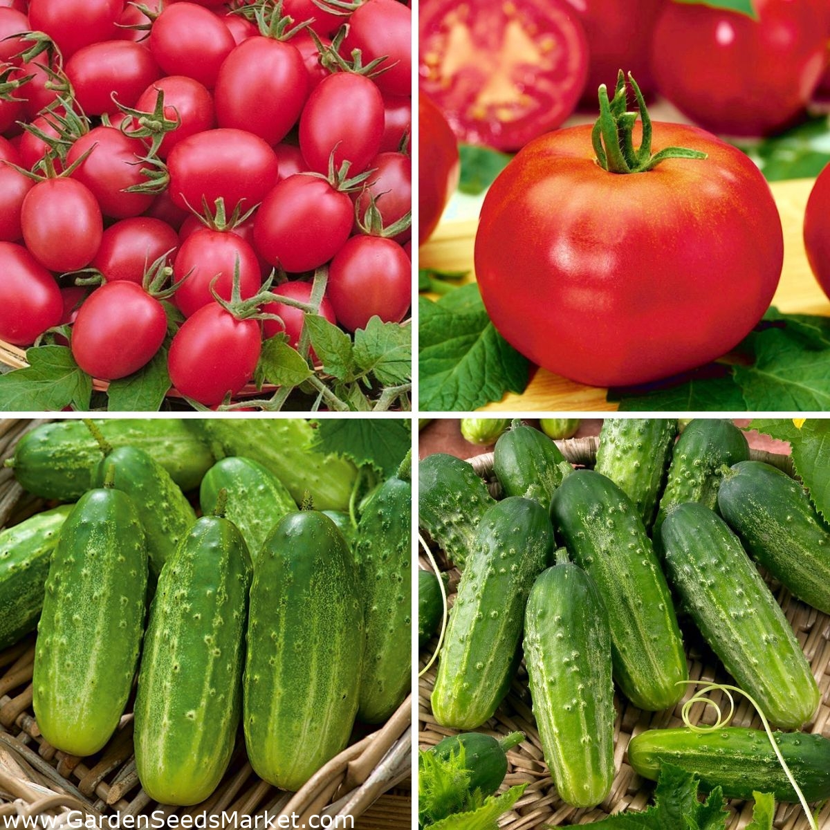 Семена на домати и краставици - селекция от 4 сорта - – Garden Seeds Market  | Безплатна доставка
