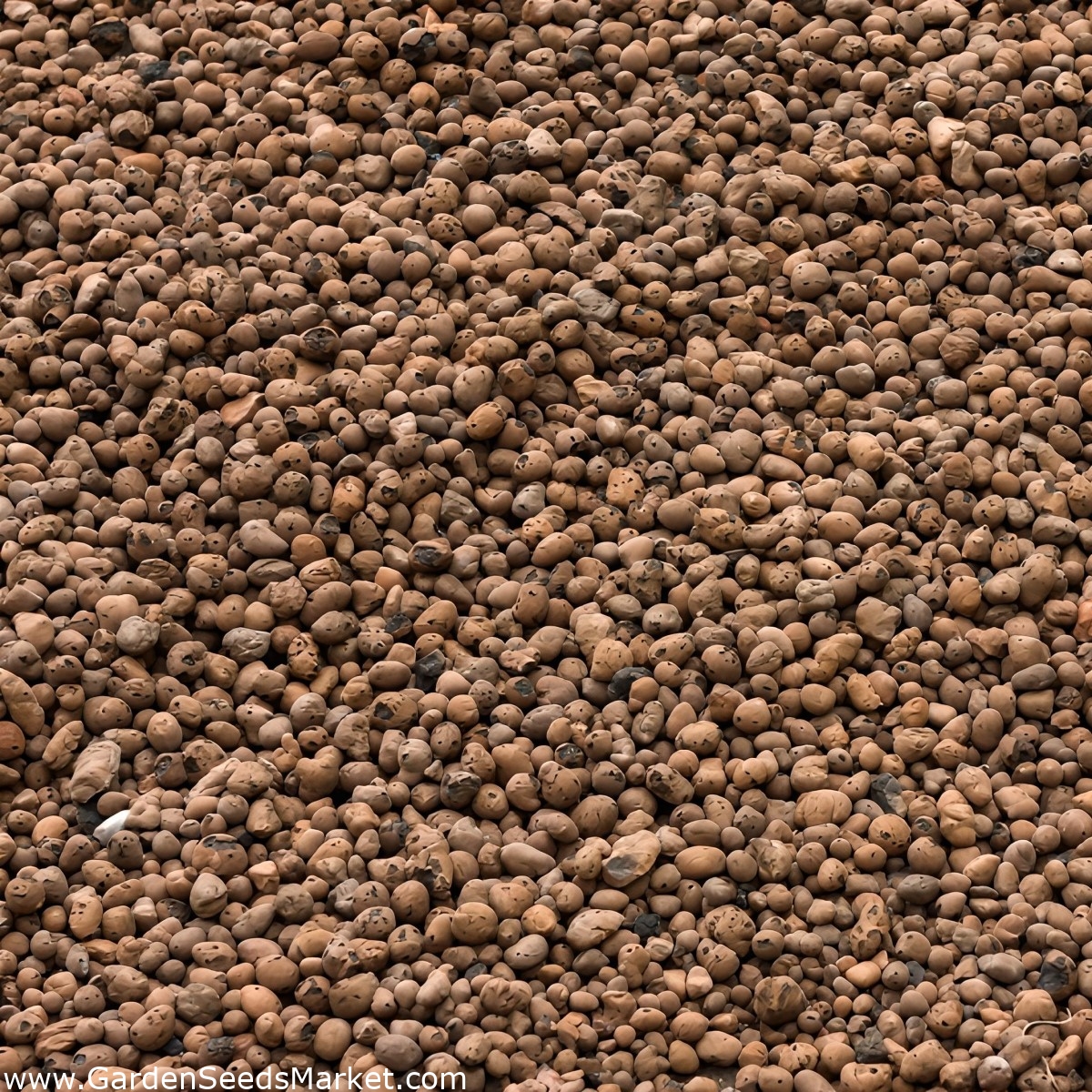 Agrégat d'argile expansé - couche de drainage pour plantes en pot - 2  litres - – Garden Seeds Market