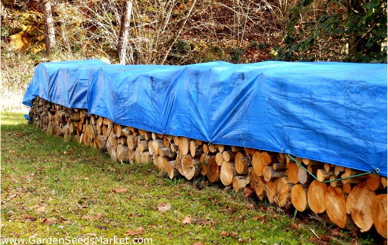 Presenning - 10 x 12 m - blå - – Garden Seeds Market | Gratis frakt