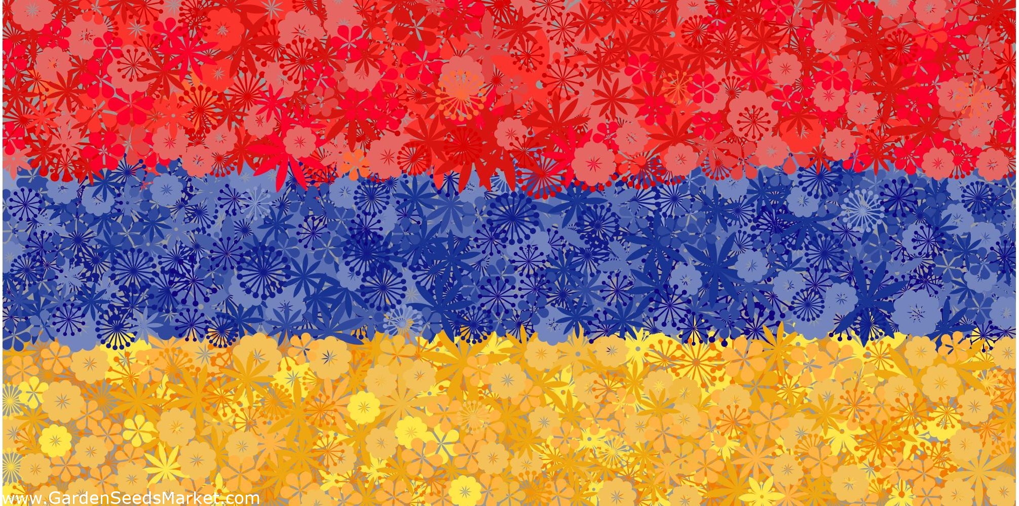 アルメニアの国旗 3種類の種 シーズ Garden Seeds Market 送料無料